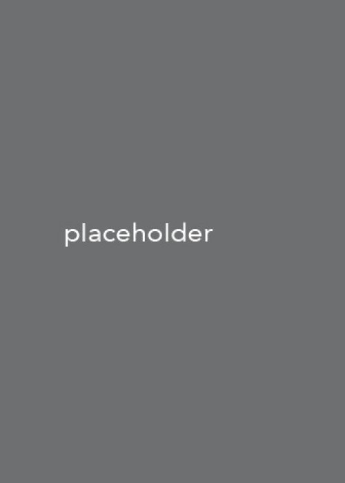 slide-gray-template
